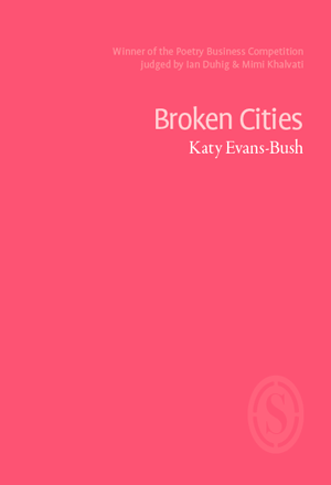evansbush-cities-webcover