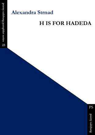 h is for hadeda